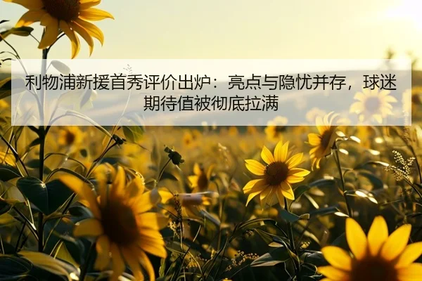 利物浦新援首秀评价出炉：亮点与隐忧并存，球迷期待值被彻底拉满